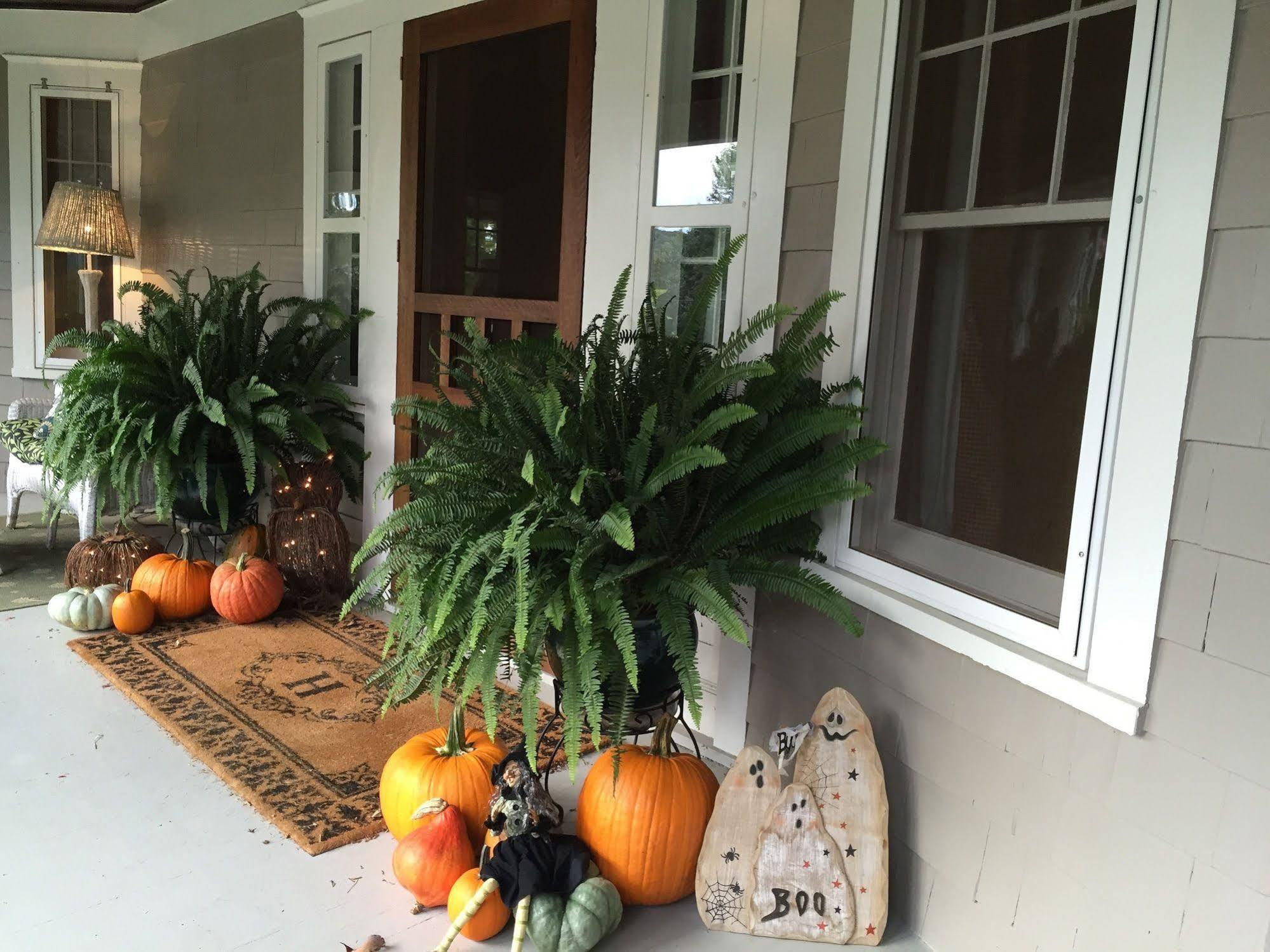 Hilltop House Bed & Breakfast Amenia Exterior foto
